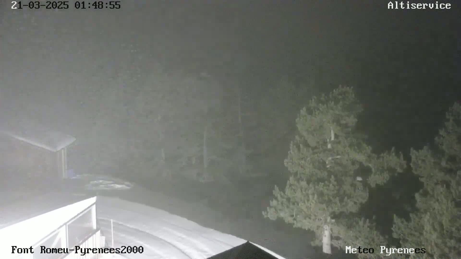 A nighttime, snowy scene shows a building partially covered in snow, with dark evergreen trees visible in the background under foggy conditions.