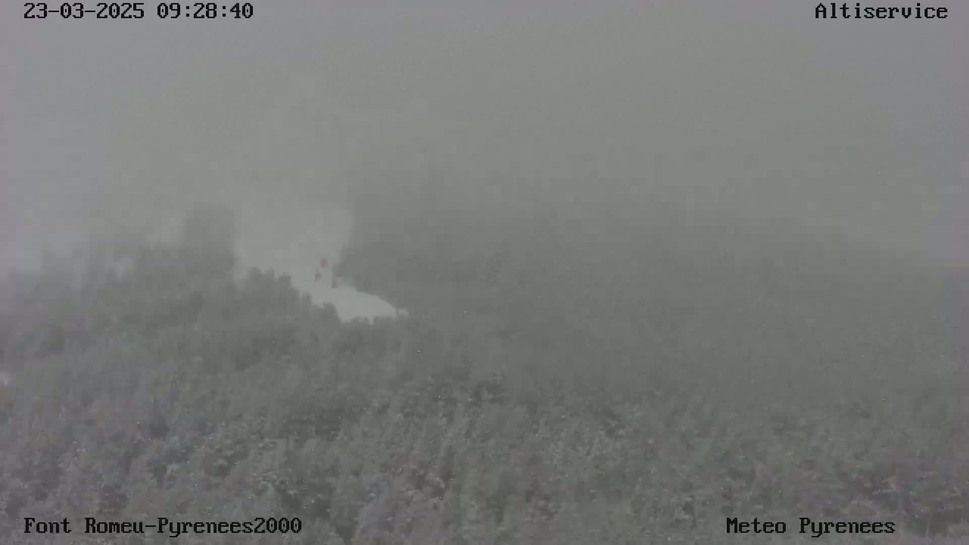 A snow-covered landscape is barely visible through heavy snowfall and fog.