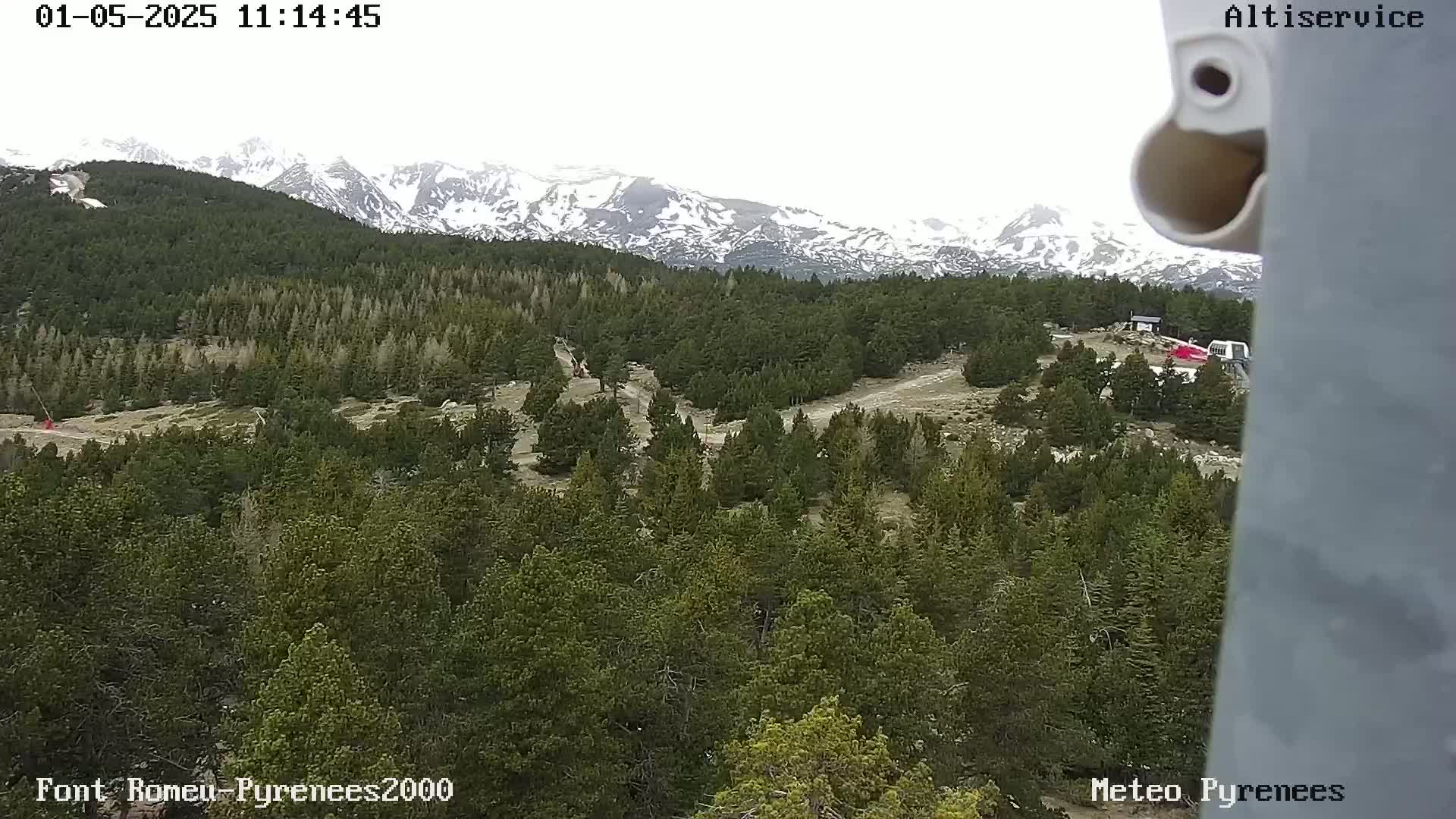 A mostly cloudy day reveals a snow-capped mountain range behind a dense evergreen forest with a few dirt paths visible.
