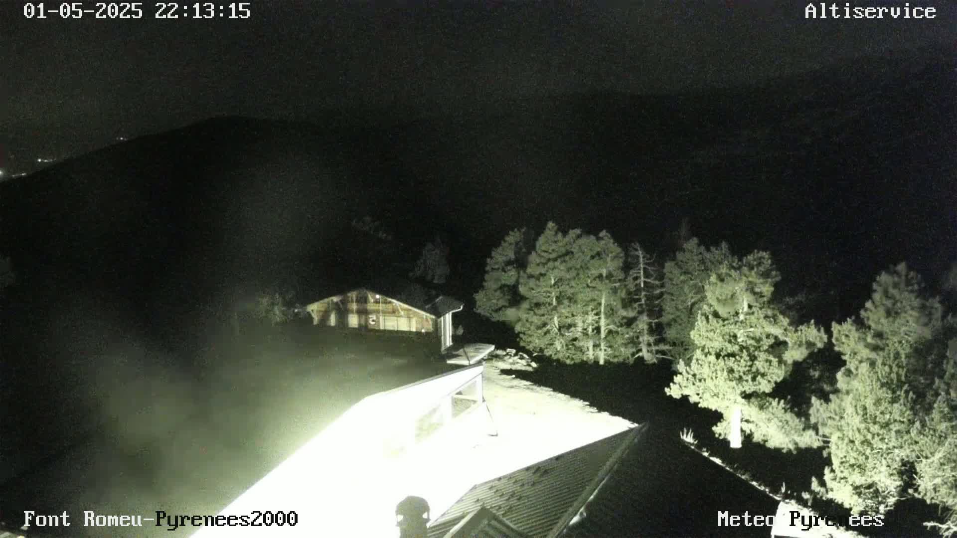 A nighttime, high-angle view shows a cluster of evergreen trees illuminated by artificial light near a building under a dark, clear sky.