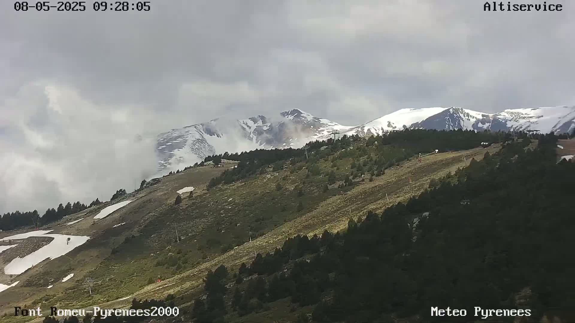 Snow-capped mountains are partially obscured by clouds over a hillside with dark green trees and patches of brown grass.