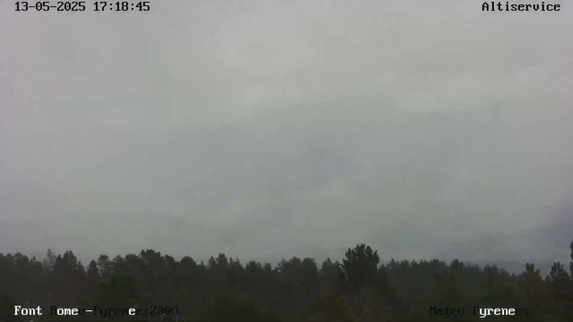 A line of dark trees is visible beneath an overcast, gray sky.