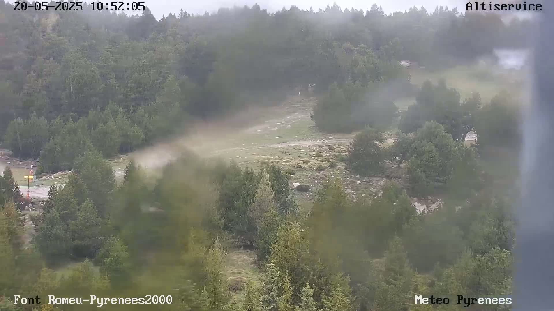 A misty, overcast view shows a sparsely vegetated area with low-lying shrubs and trees, a dirt road, and a few rocky outcroppings.