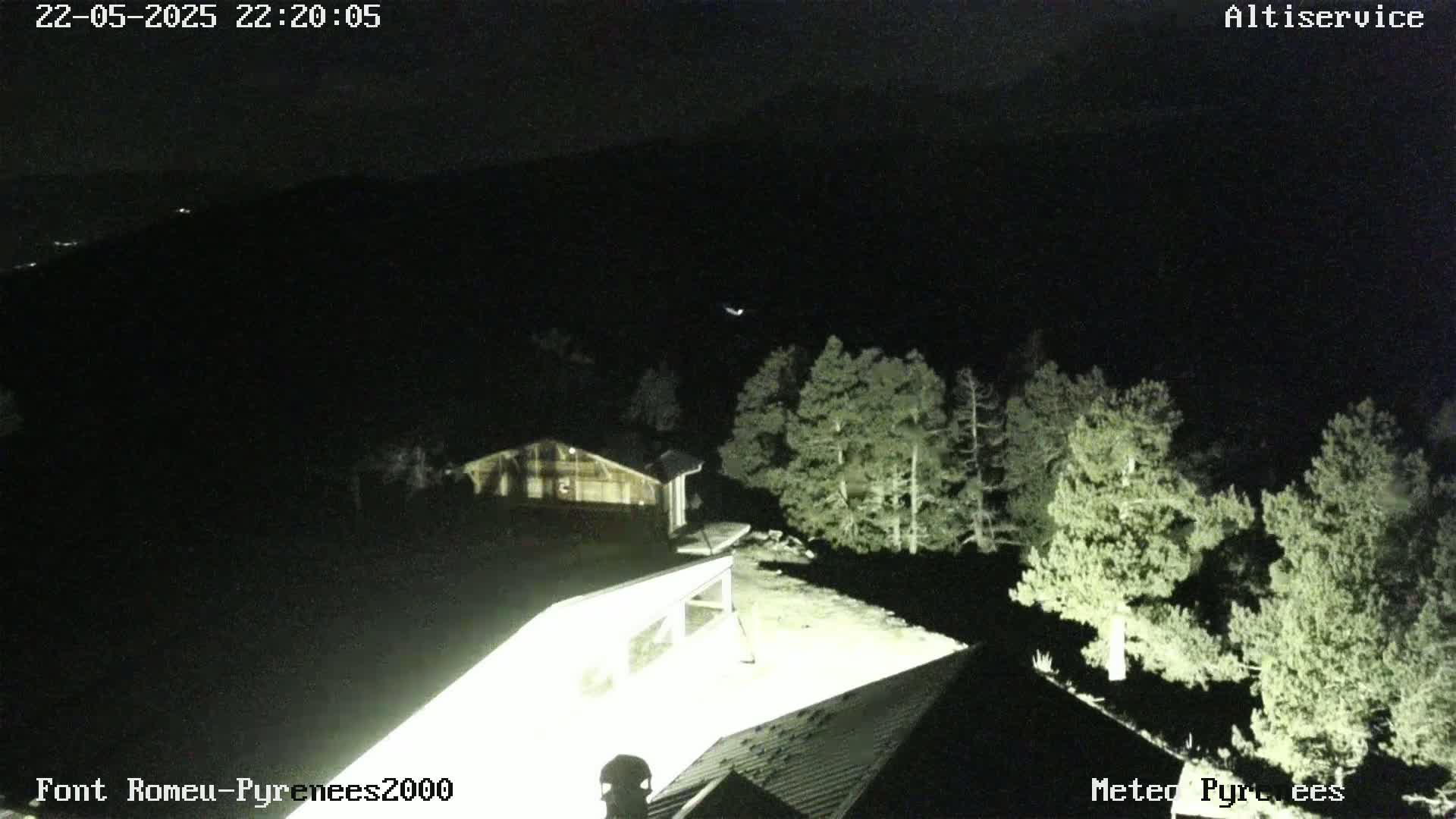 A nighttime view of a snow-covered area with a building and trees, illuminated by artificial light.