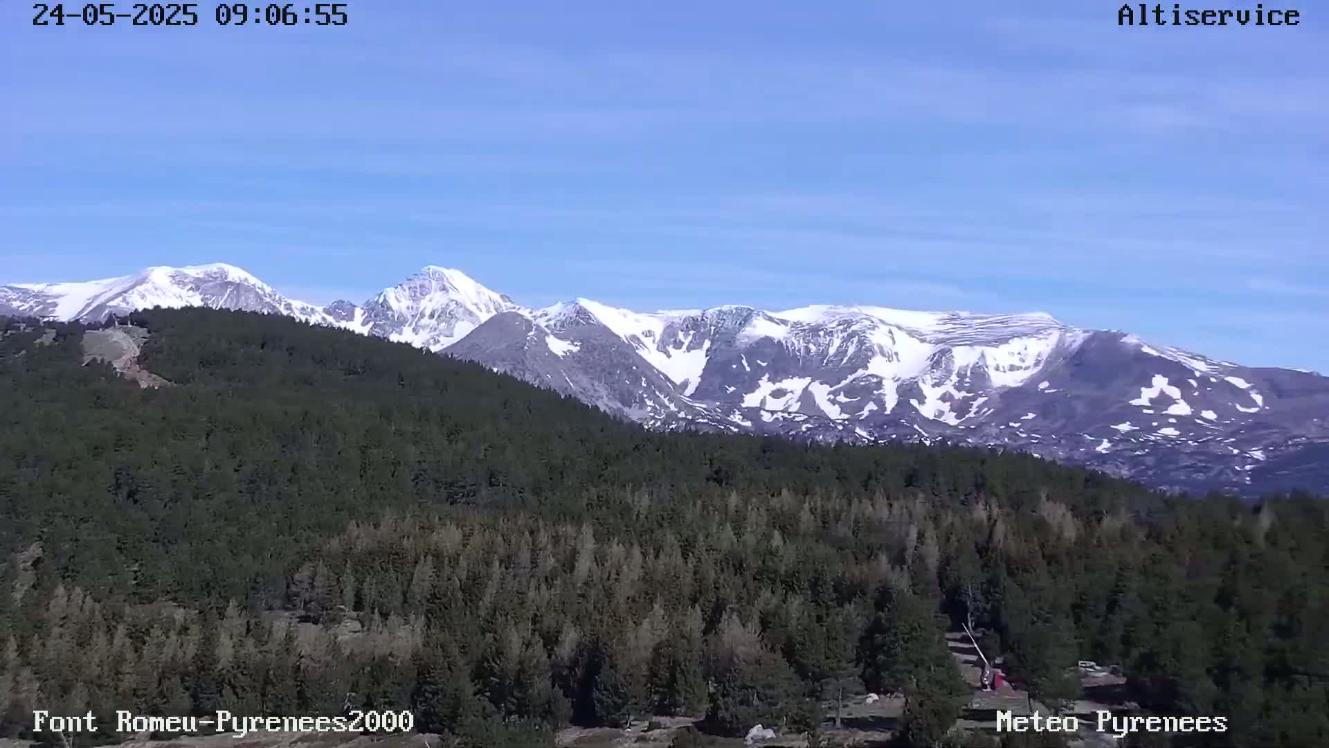 A snow-capped mountain range is visible in the distance behind a vast, dark green forest under a clear blue sky.
