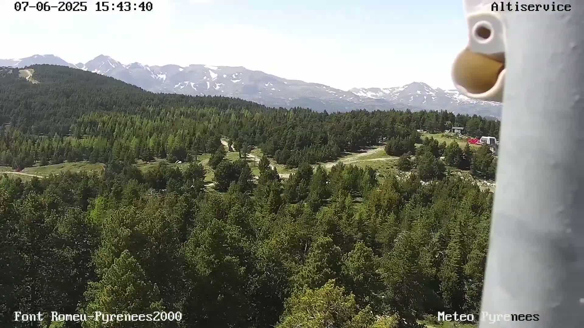 A high-angle, long shot shows a vast expanse of evergreen forest under a clear sky, with snow-capped mountains in the distance.