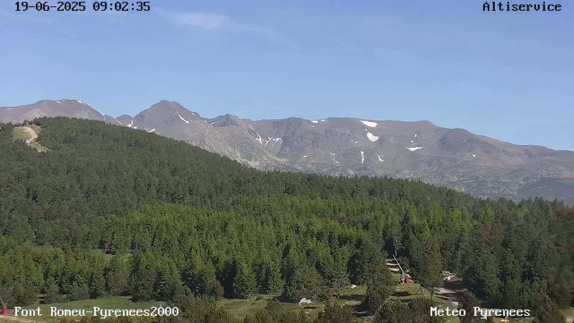 A lush green forest sits in the foreground, with a mountain range showing patches of snow in the background under a clear blue sky.