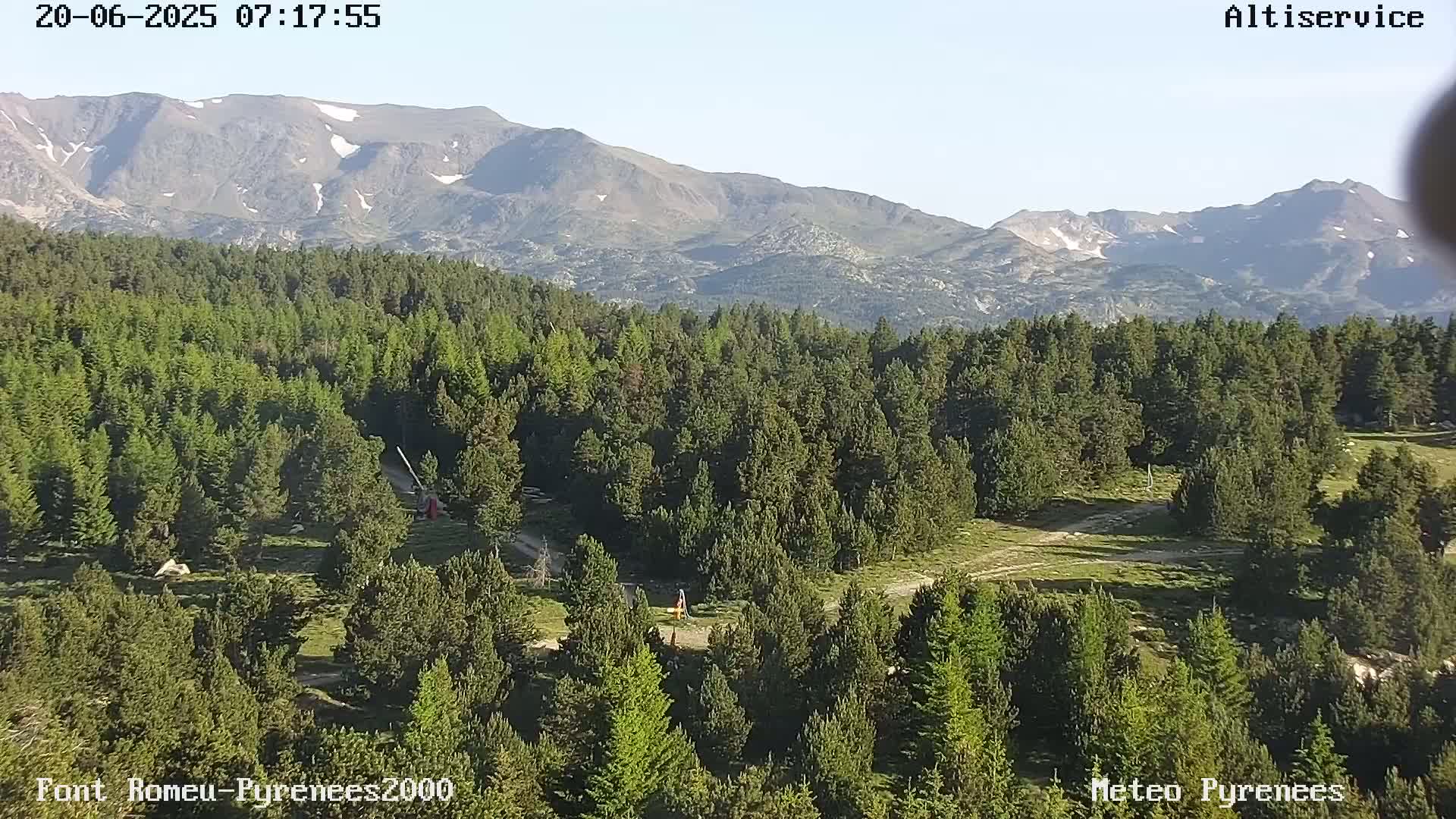 A vast evergreen forest stretches towards snow-capped mountains under a clear sky.