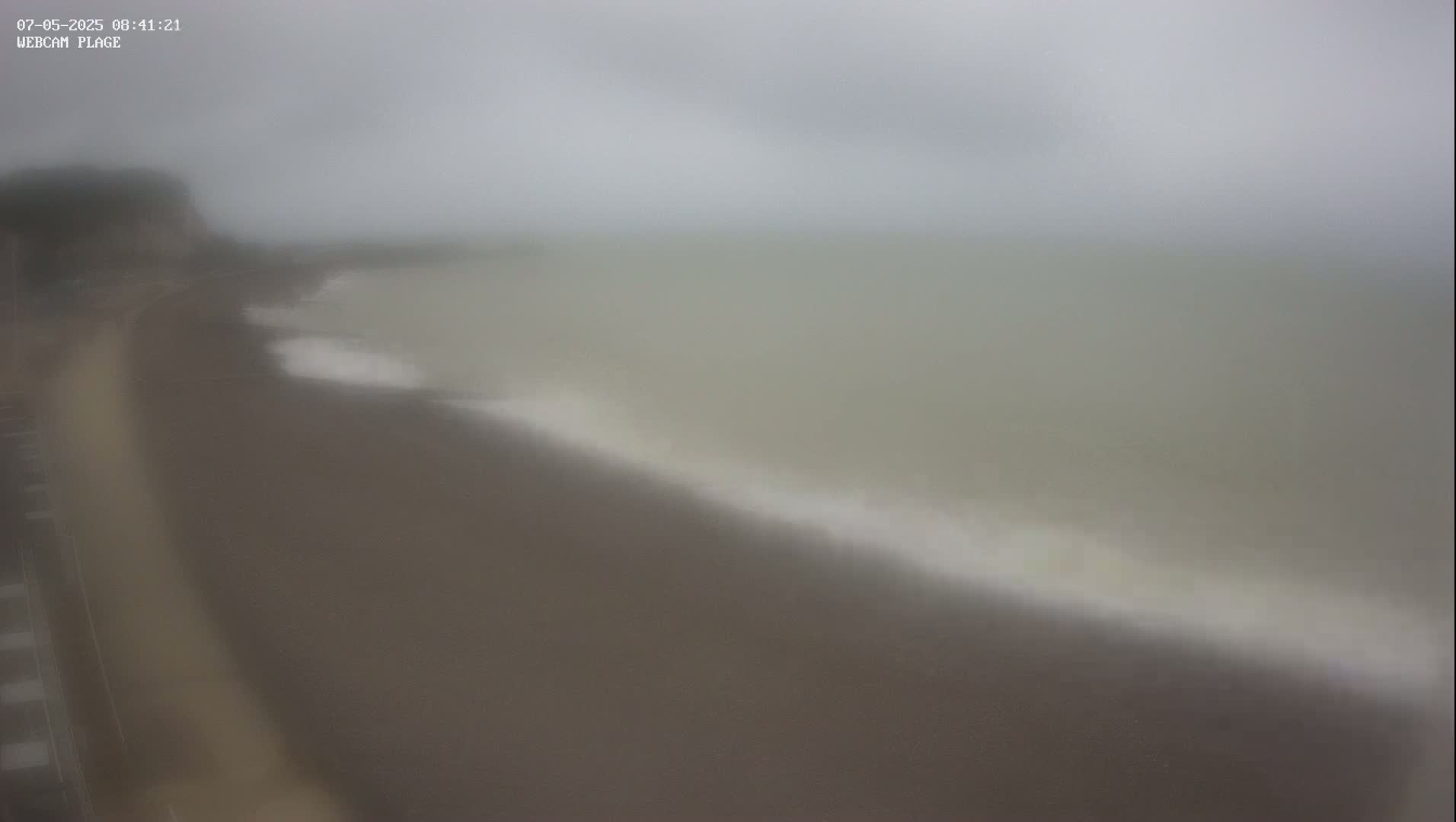 A dark, sandy beach meets a murky, light-green sea under an overcast sky.