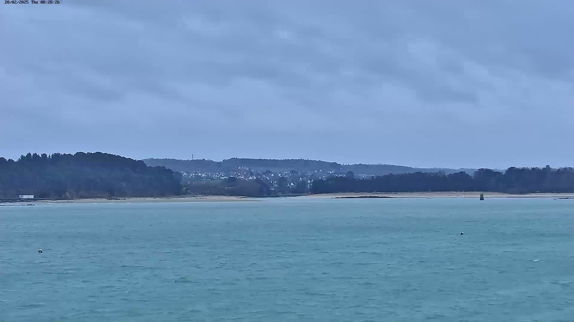 A calm, blue-green body of water stretches toward a distant shoreline under a cloudy sky, where a line of trees and a small town are visible.