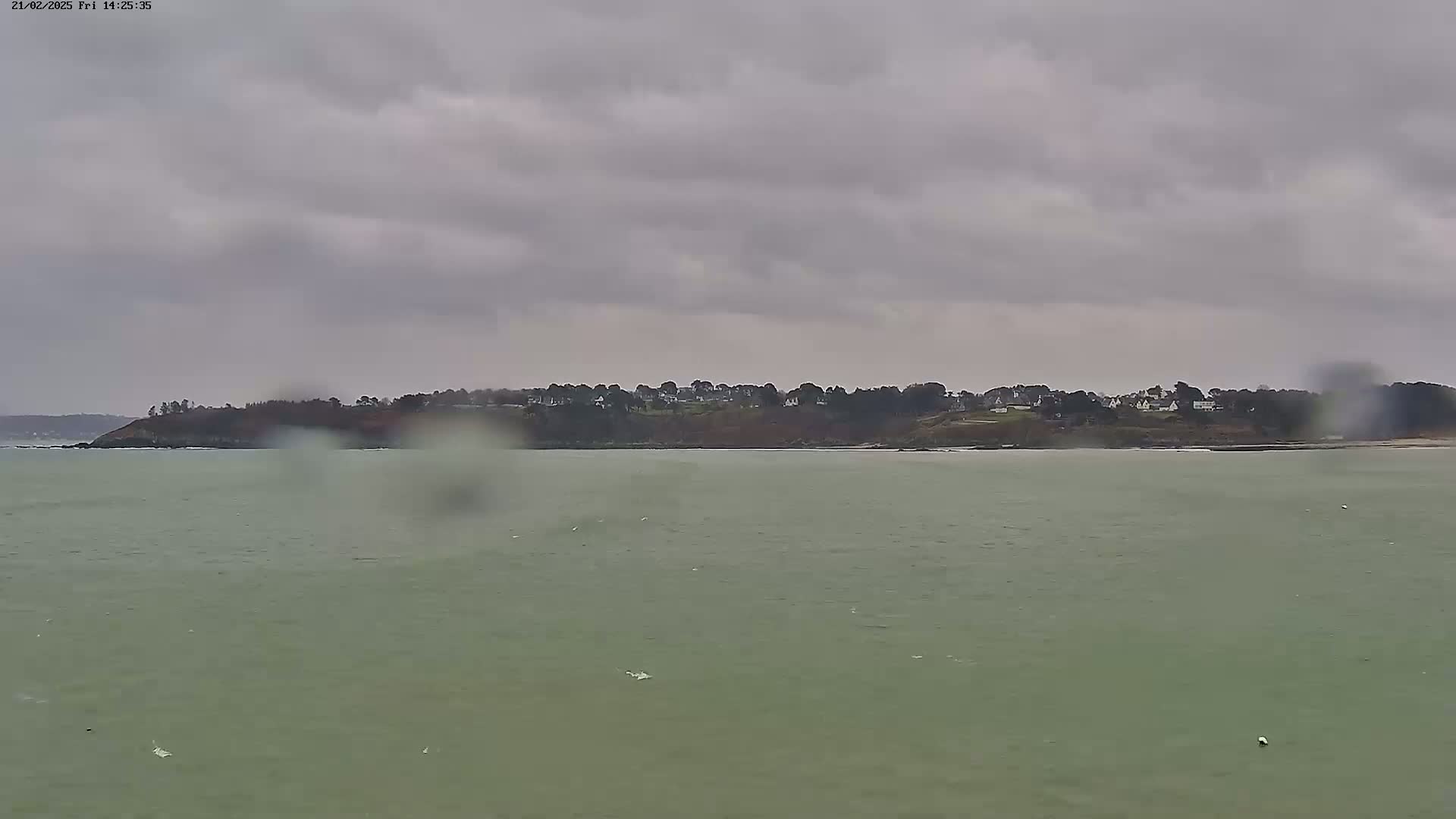 A view across a calm, greenish-grey sea shows a distant, tree-lined headland with houses under an overcast sky, with rain obscuring the view.