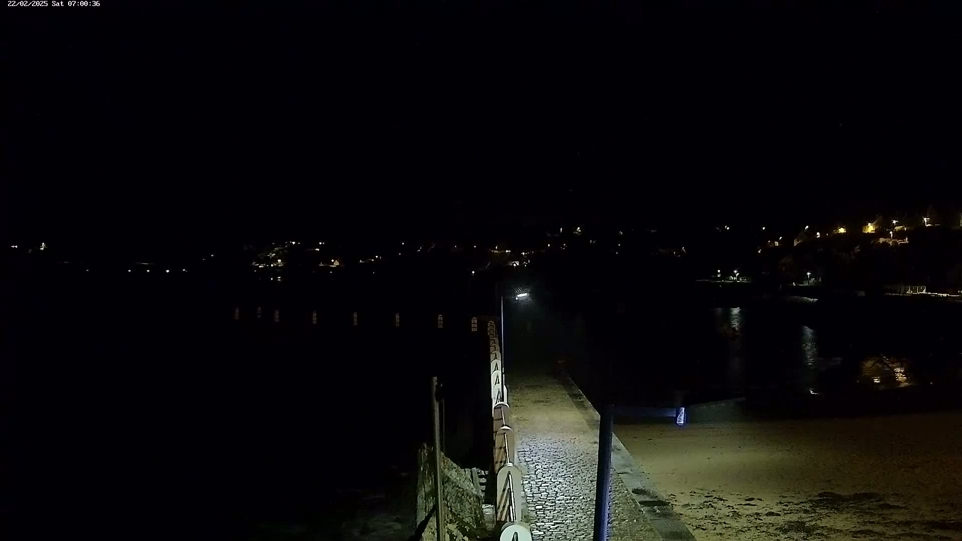 A paved walkway at night next to a dark body of water, with a dimly lit town visible in the distance.