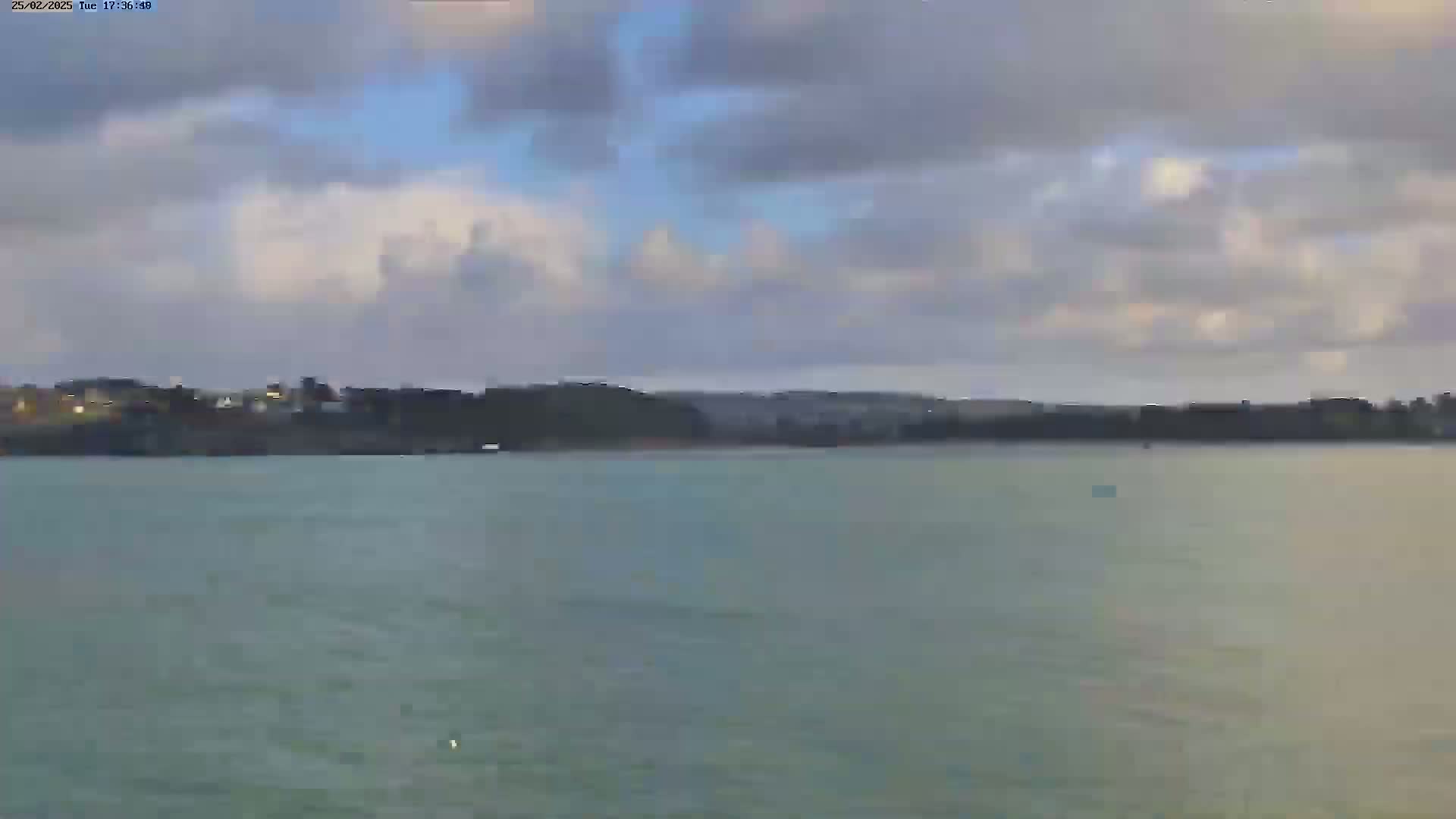 A body of calm water stretches out to a distant shoreline of dark green trees and buildings under a cloudy sky.