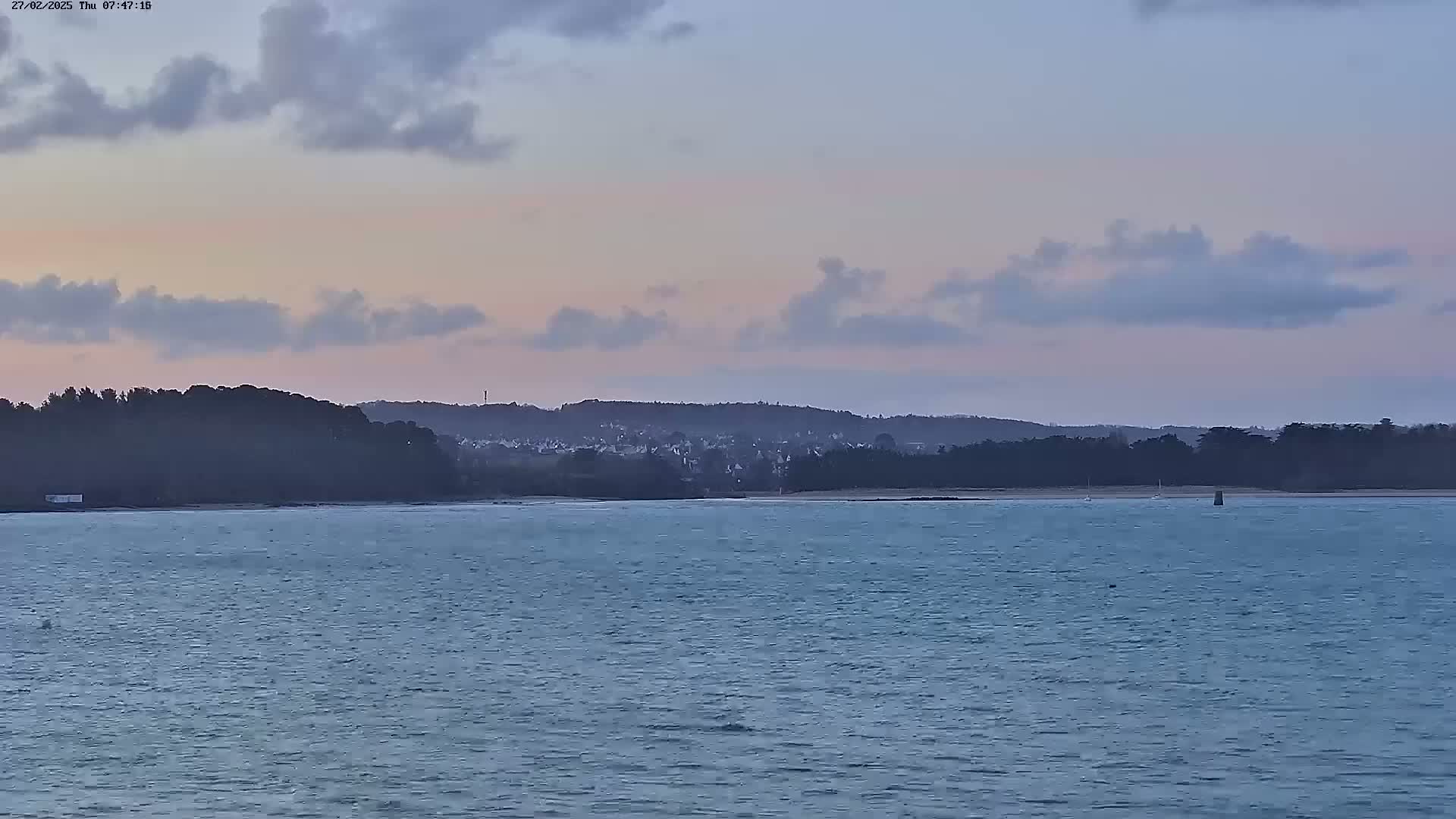A calm body of water stretches towards a distant shoreline, where trees and a small town are silhouetted against a pale, cloudy sky at dusk.