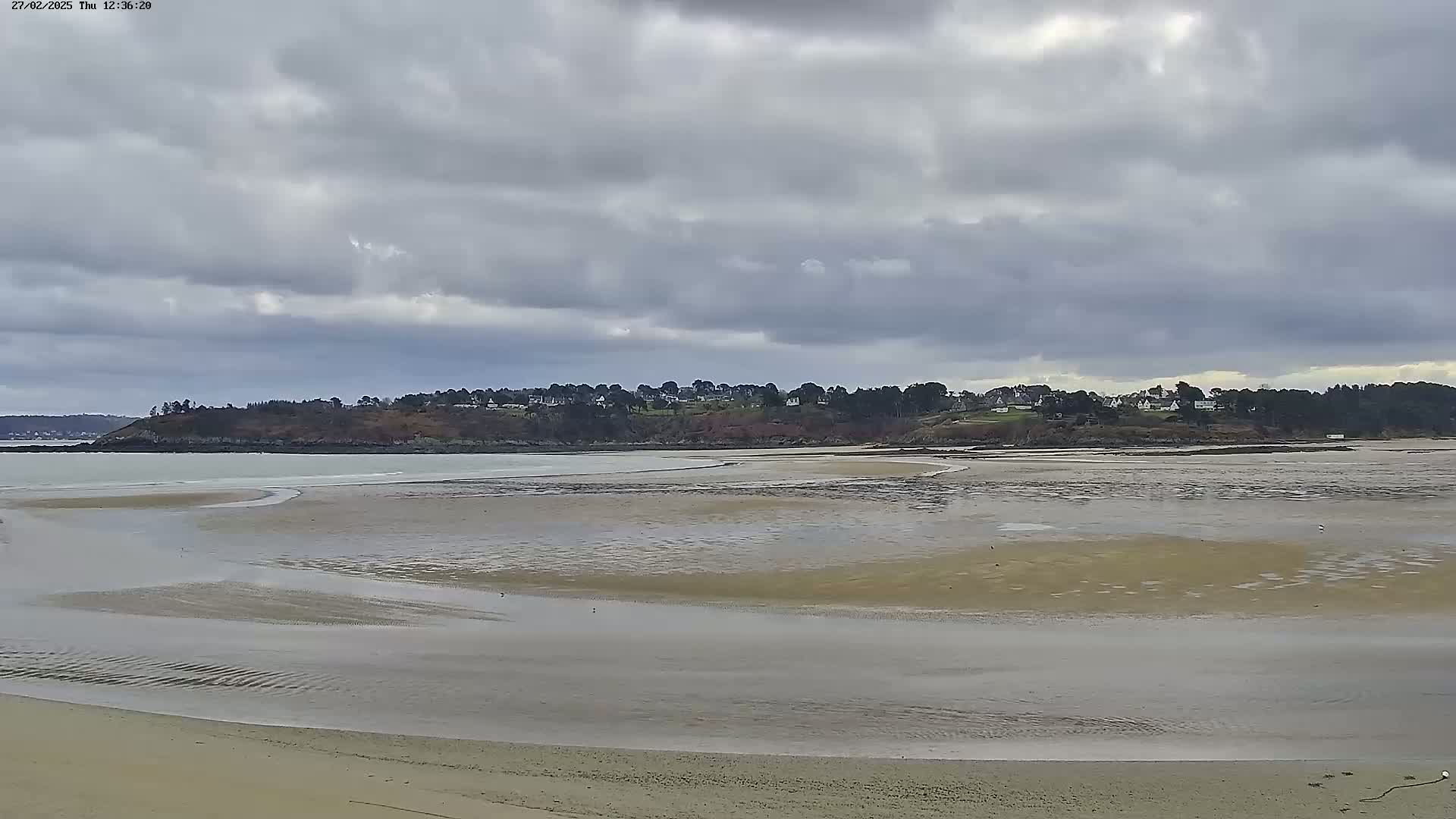A sandy beach with shallow, receding water stretches towards a line of trees and buildings under a cloudy sky.