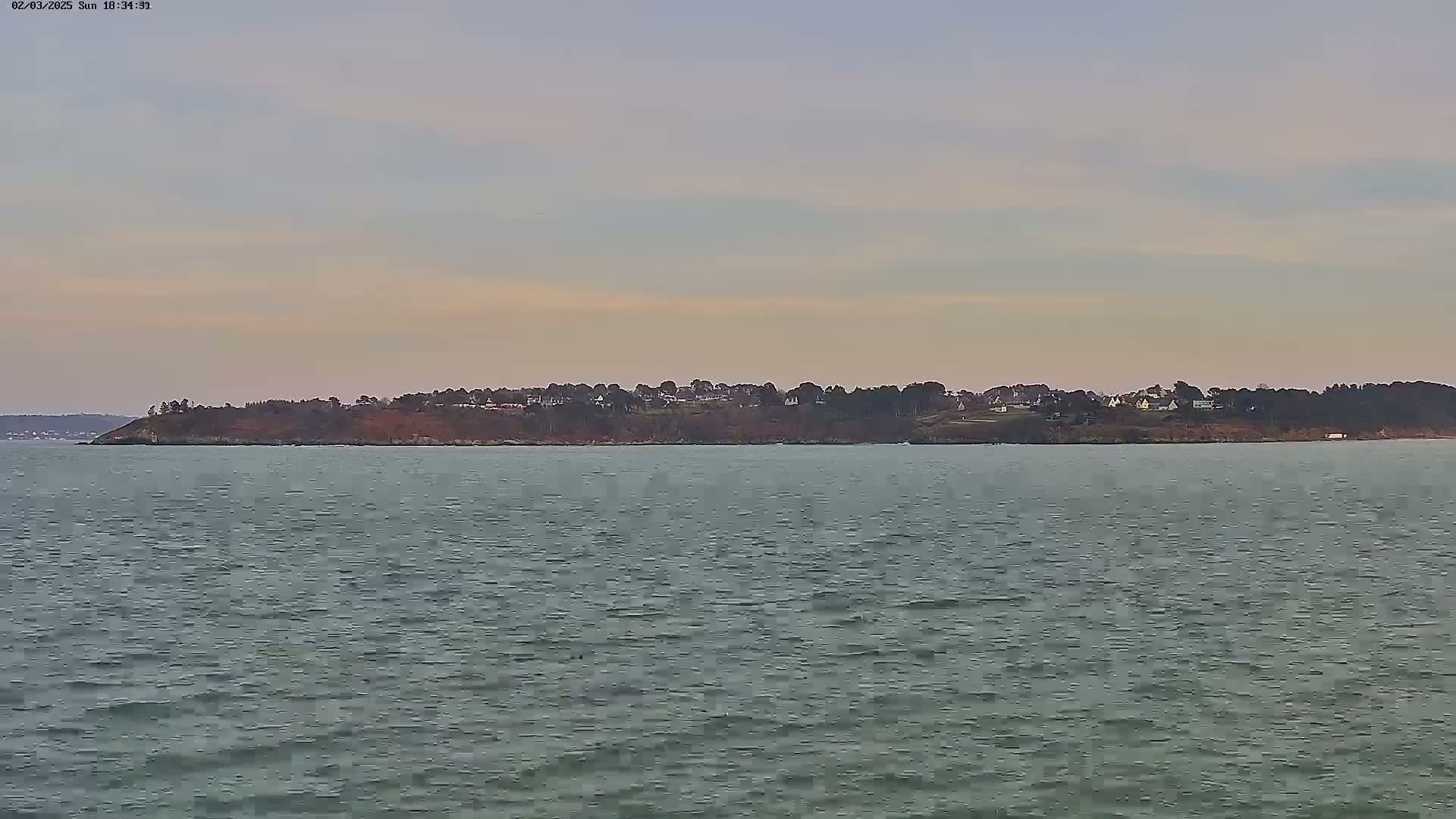 A calm, gray body of water stretches to a distant shoreline where houses are nestled amongst trees under a pale, cloudy sky.