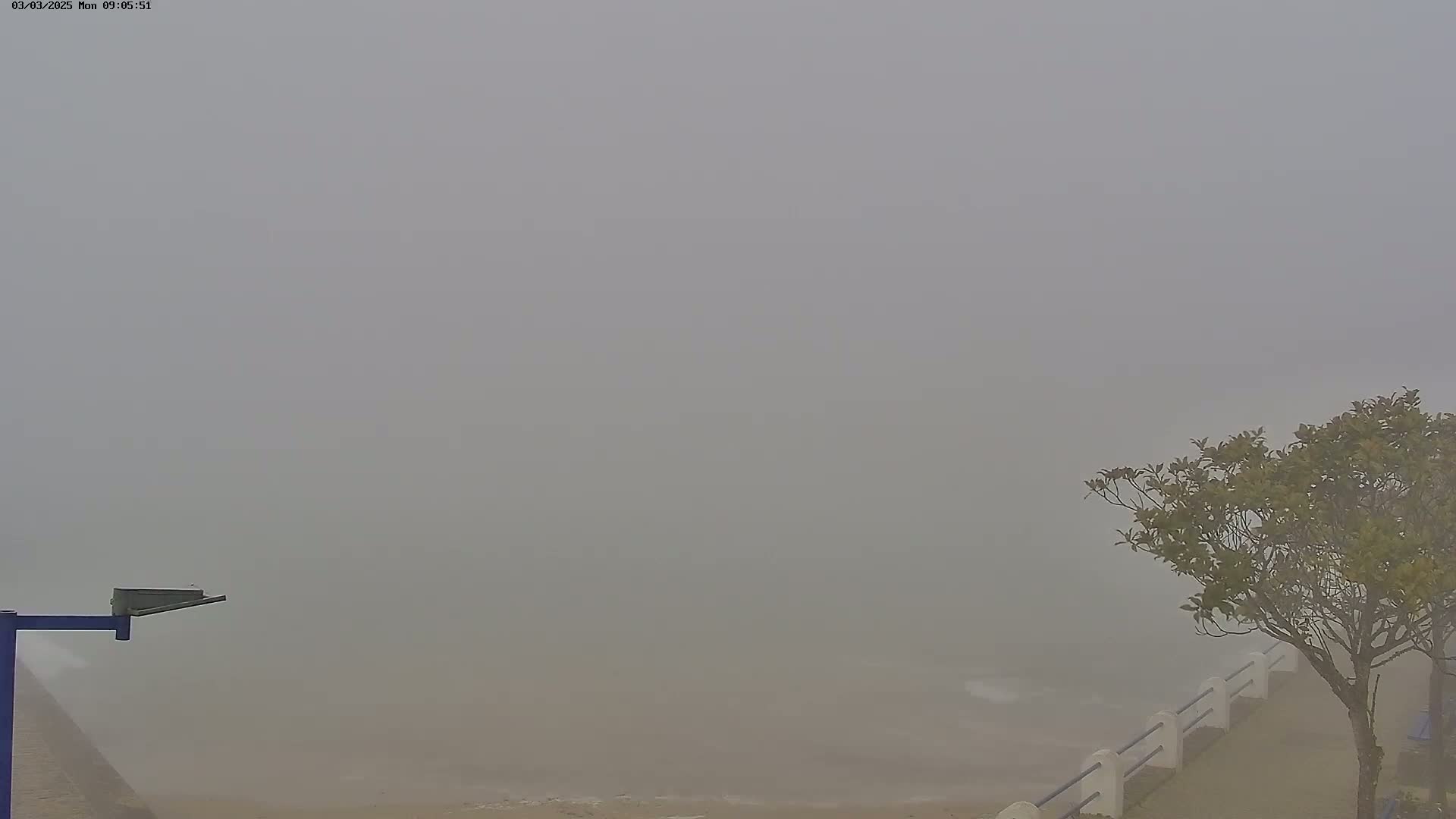 A foggy coastal scene shows a sandy beach, a low white railing, a small tree, and a part of a metal structure.