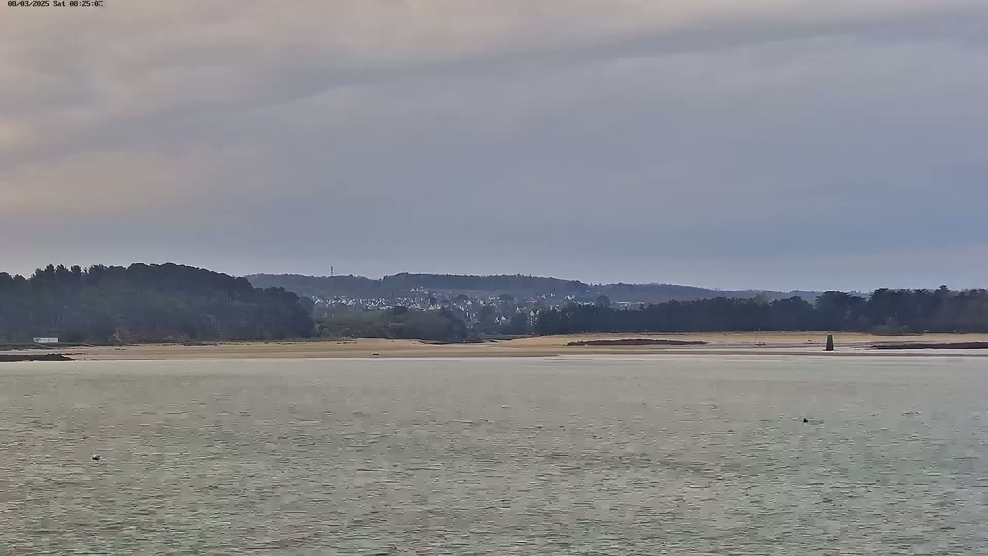 A calm body of water stretches toward a shoreline with dark green trees and a distant town under an overcast sky.