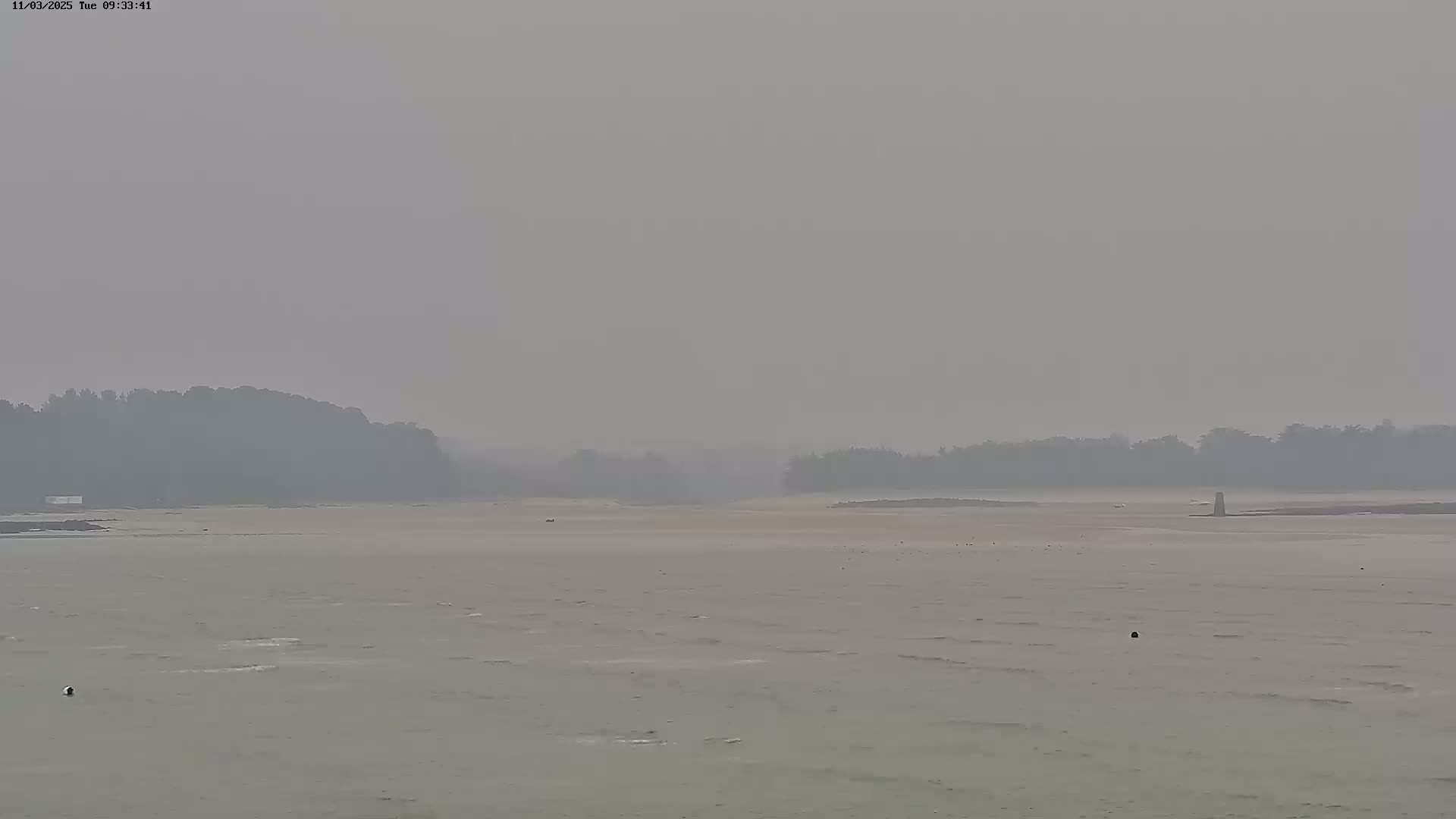 A hazy, light-colored expanse of water stretches out to distant, indistinct tree lines.