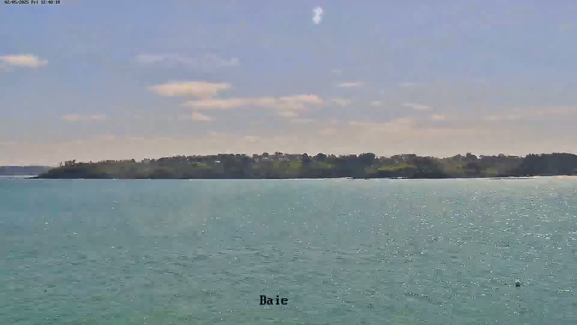 A tranquil body of water stretches out to a tree-lined shoreline under a partly cloudy sky.