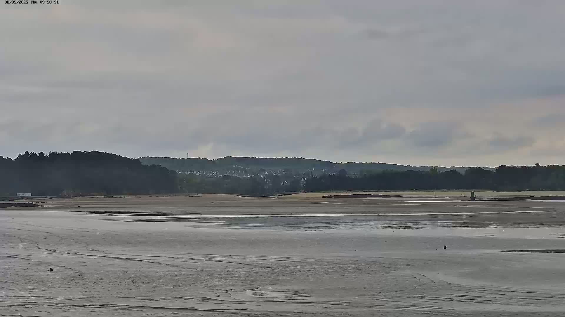 A wide expanse of exposed tidal flats stretches toward a distant line of trees and a small town under an overcast sky.