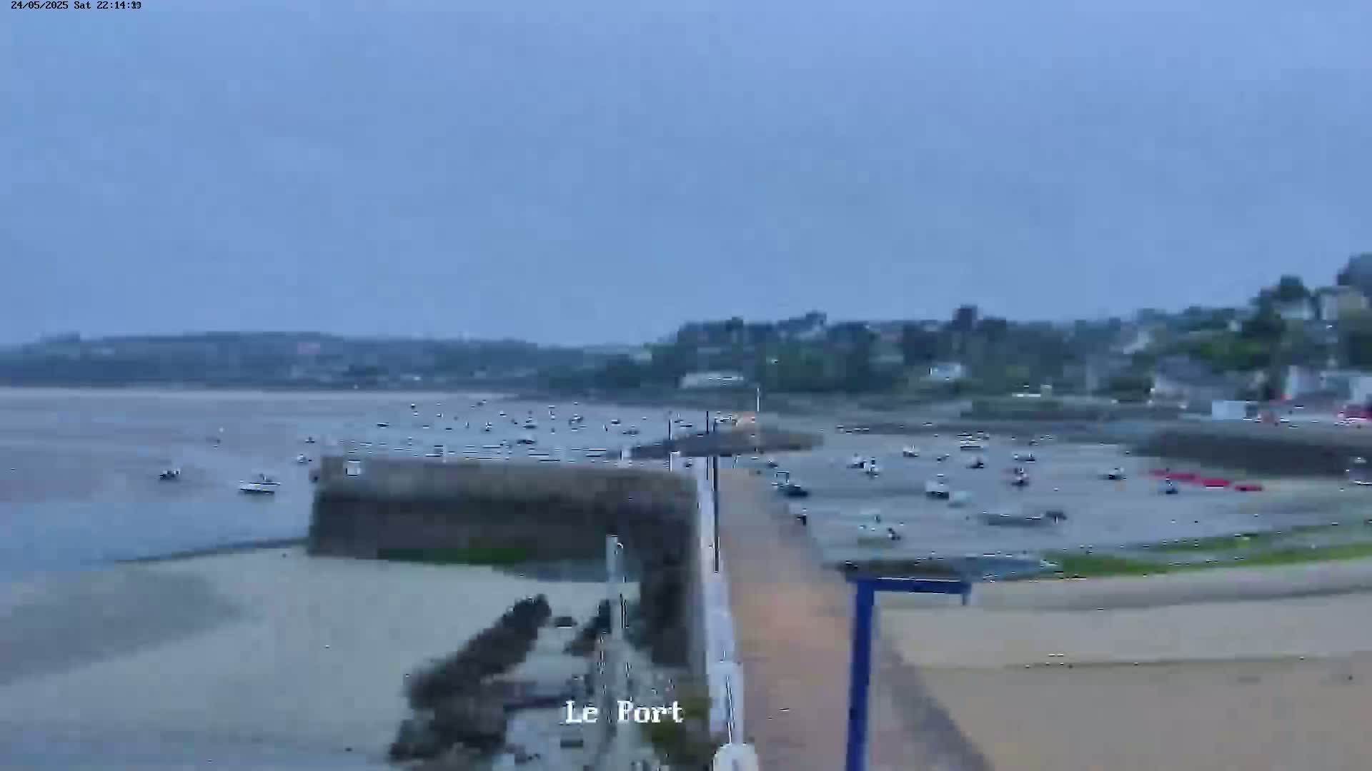 A harbor filled with numerous small boats sits near a town under an overcast sky.