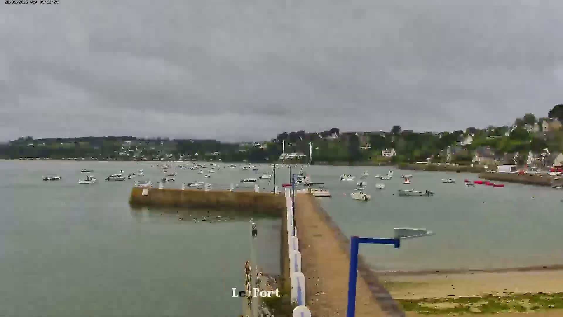 A harbor filled with numerous boats is viewed from a pier on an overcast day.