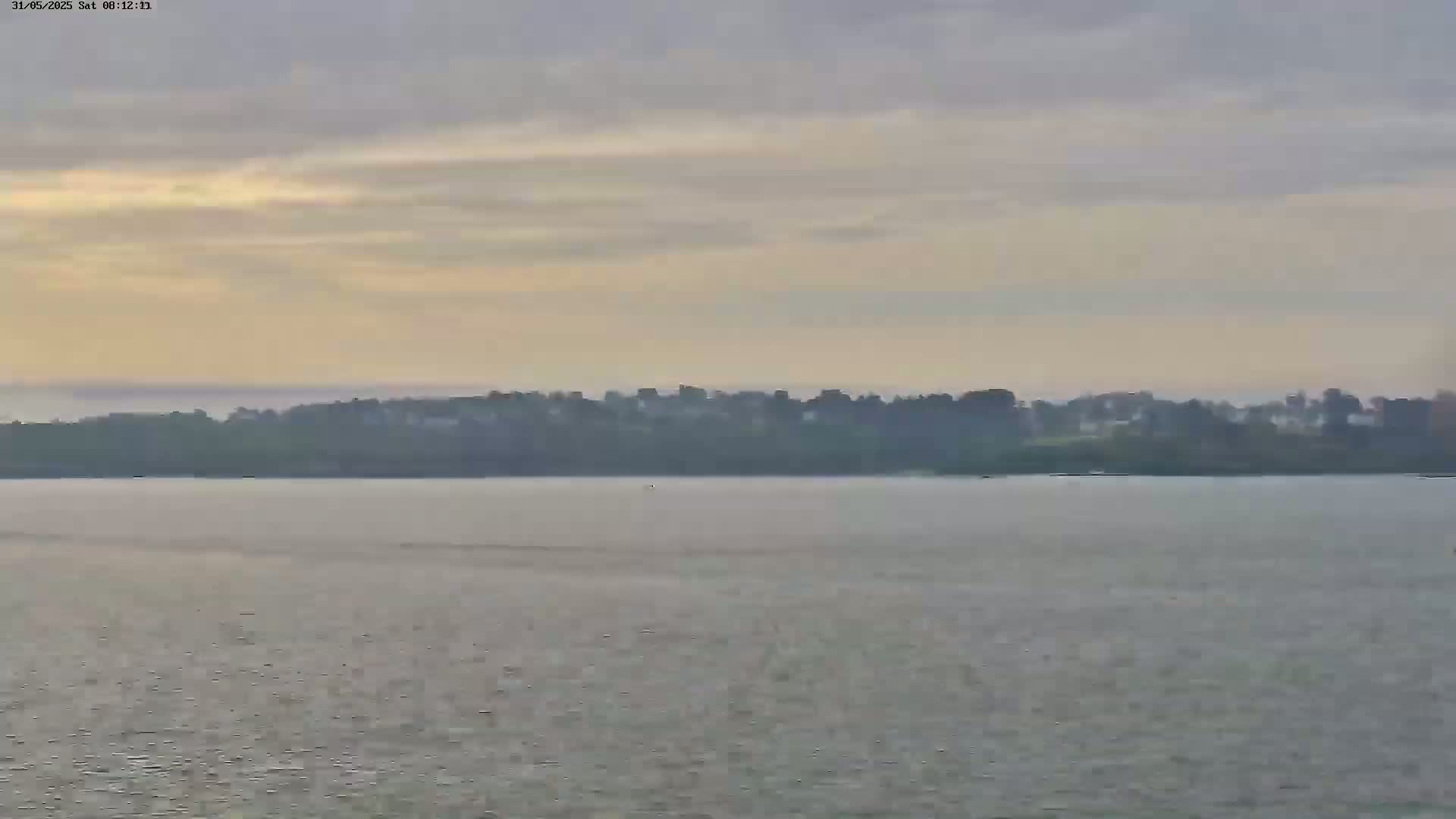 A calm body of water stretches out to a distant shoreline covered in trees and buildings under a pale, overcast sky.