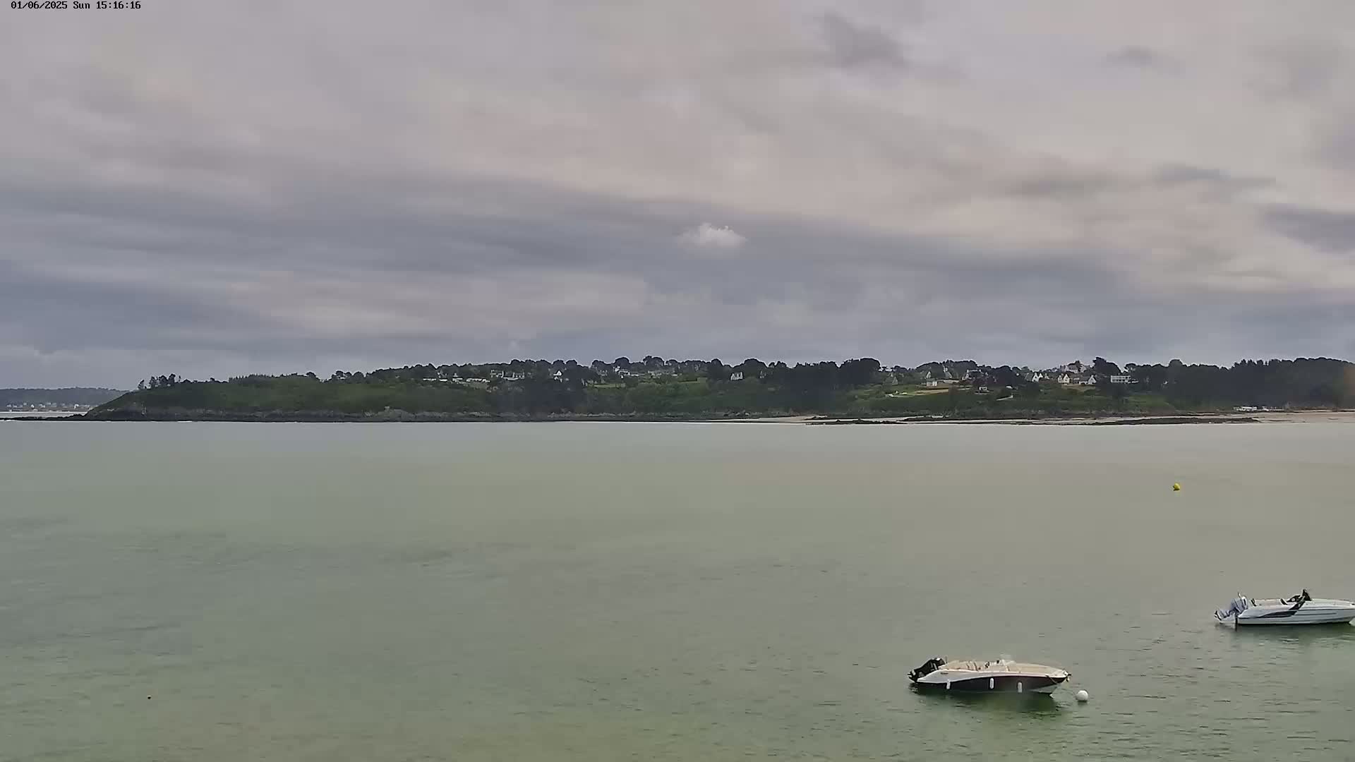 Two small motorboats are on calm, light-green water in front of a tree-covered shoreline under an overcast sky.
