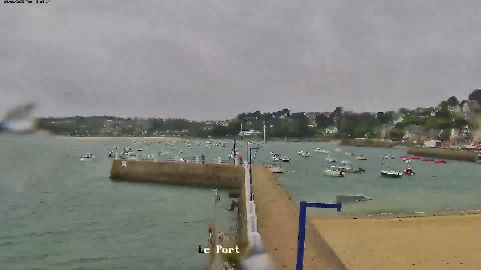 A harbor filled with numerous boats is viewed from a pier on an overcast day.