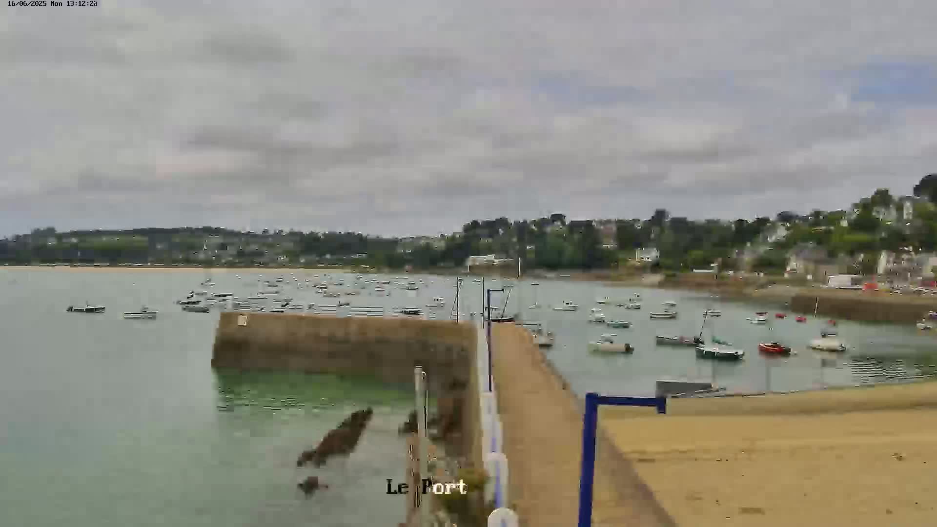A harbor filled with numerous small boats is seen on a cloudy day, with a small sandy beach and a town visible in the background.
