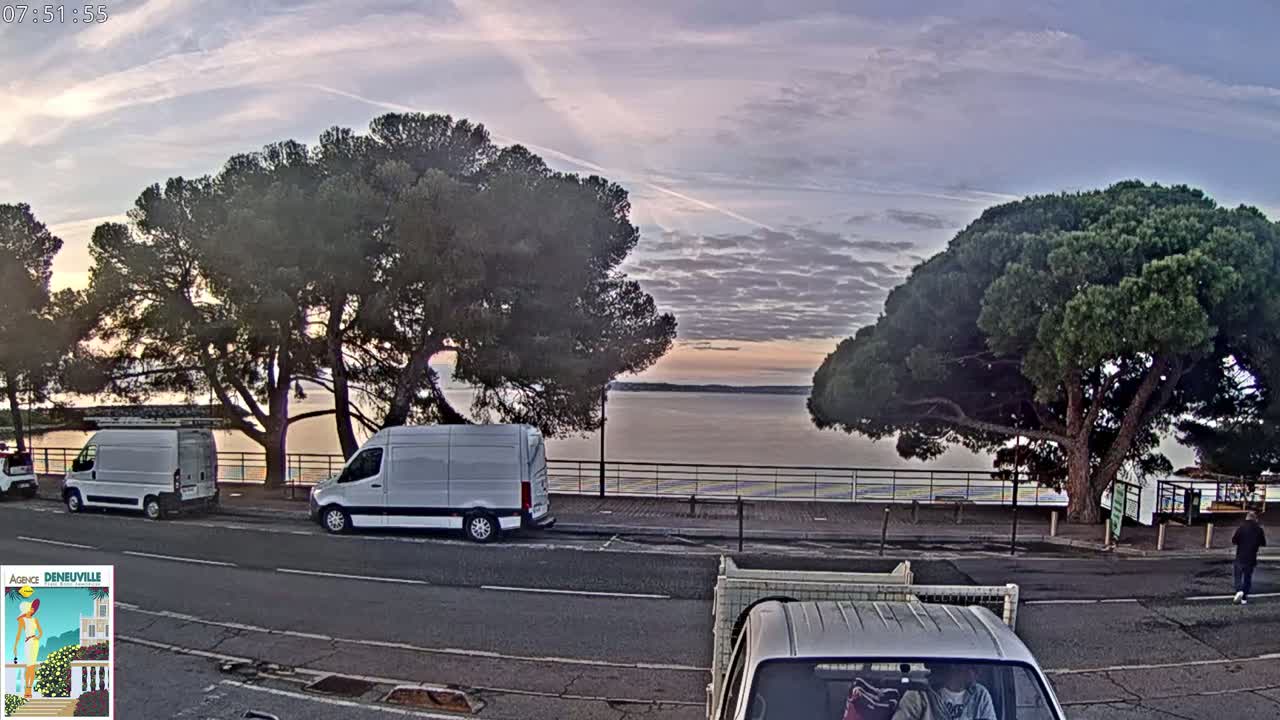 Two white vans are parked near large pine trees overlooking a calm body of water under a partly cloudy, dusky sky.