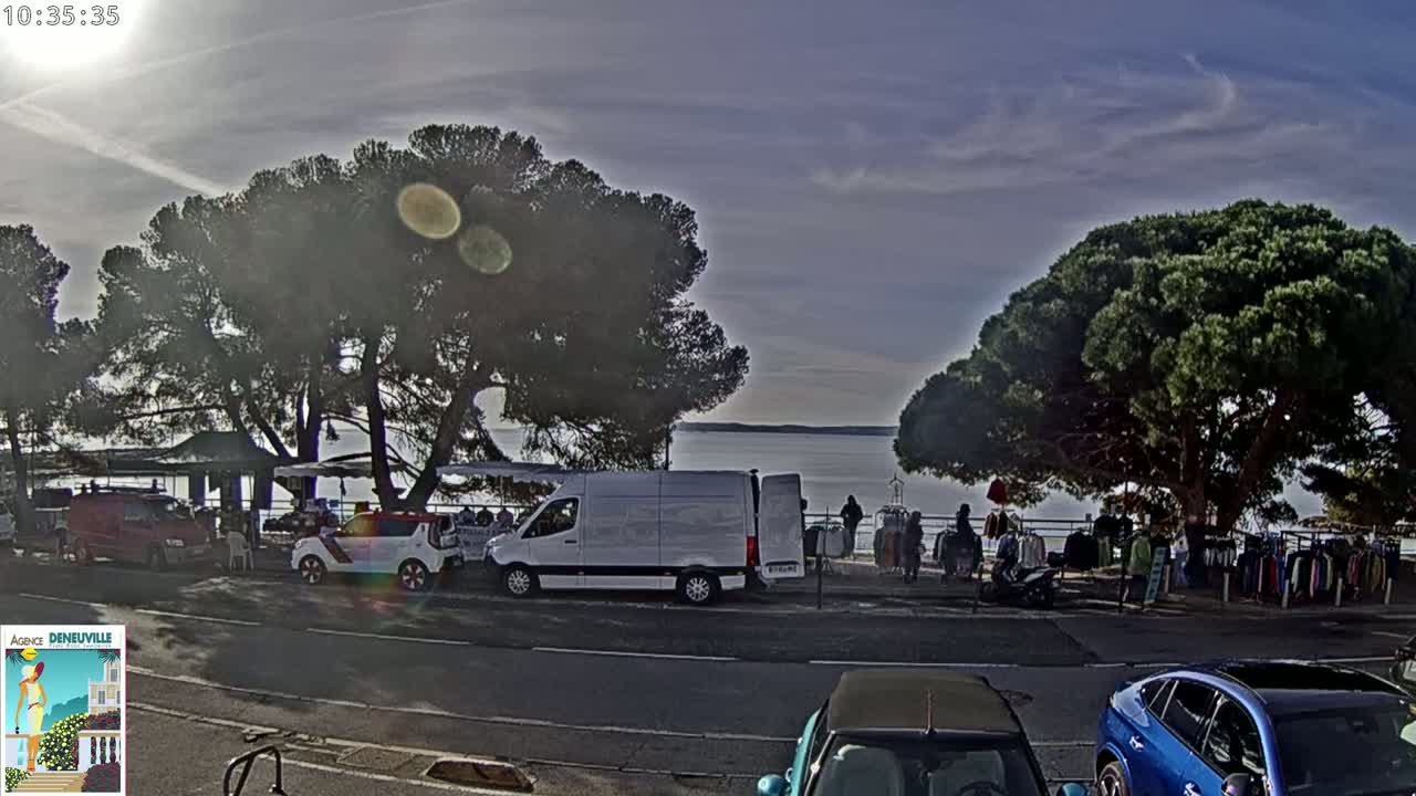 A partly sunny outdoor scene shows a street market set up under large pine trees by a calm body of water, with cars parked nearby.