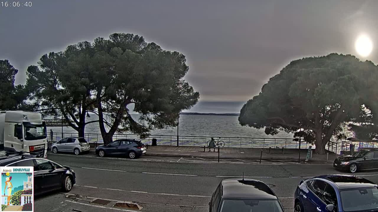 Several cars are parked along a road next to a calm body of water under an overcast sky, with large pine trees shading the roadside and a person sitting on a bench near a bicycle.