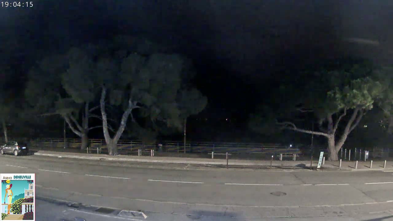 A dark, nighttime scene shows a road with a car parked near large trees and a fence, under a clear, dark sky.