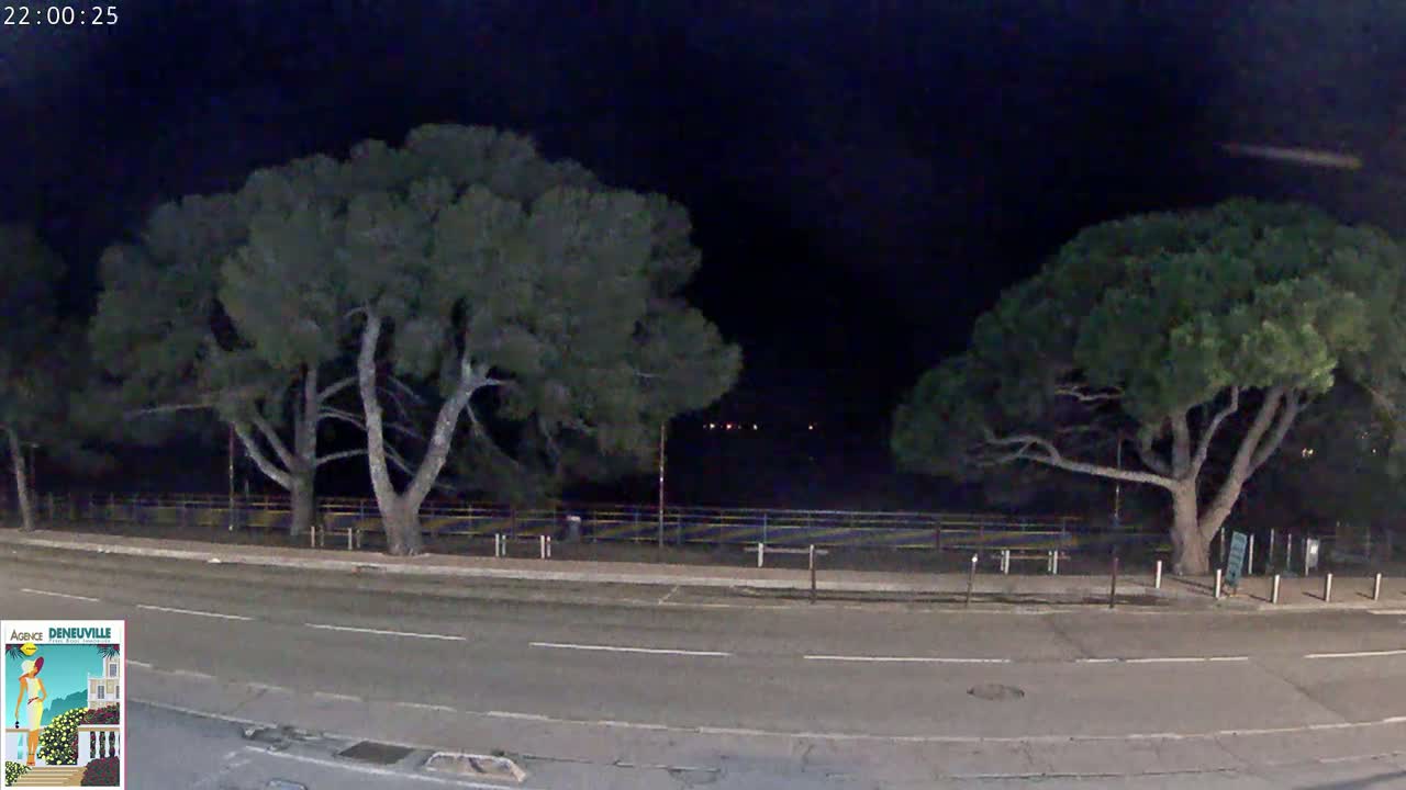 At night, two large trees stand on either side of a road, with a dimly lit area beyond a fence in the background.