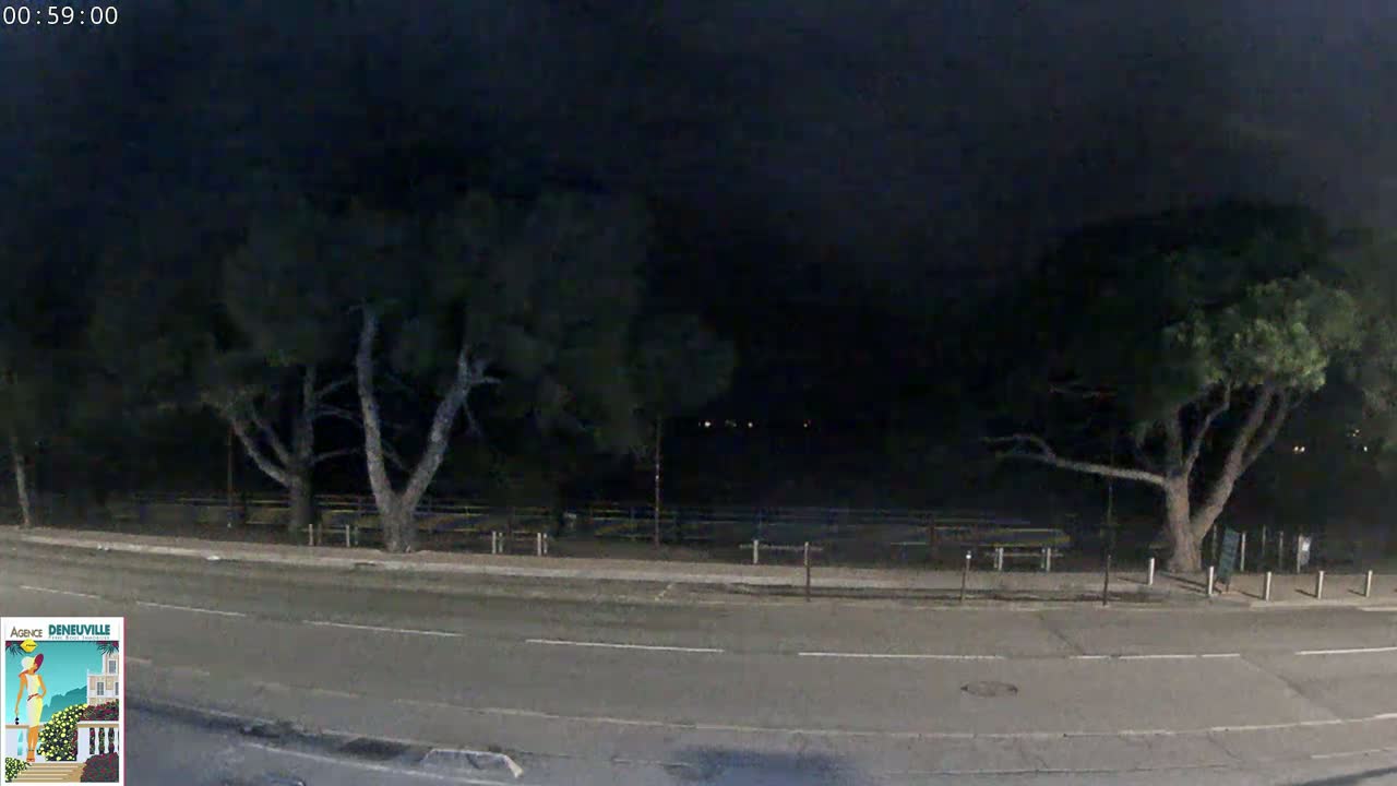 A nighttime street scene shows a dark road bordered by trees and a fenced-in area beyond.