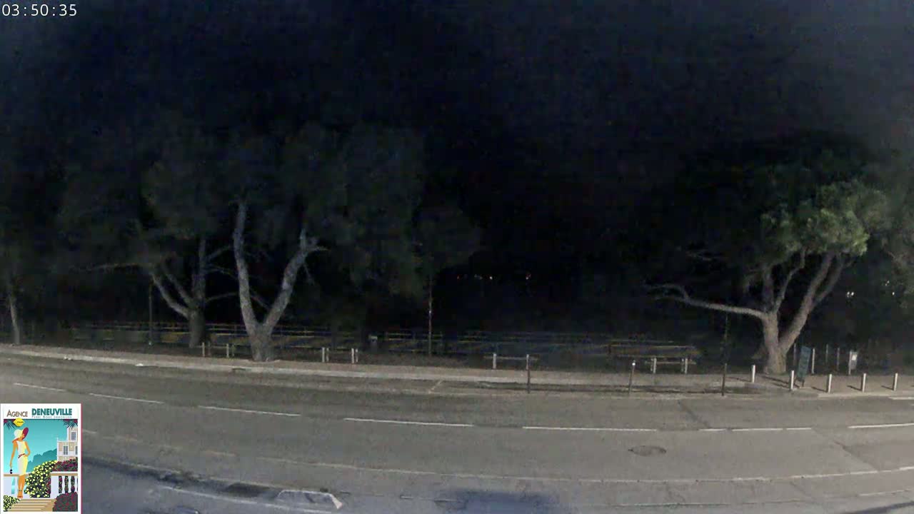 A nighttime view of a road next to a park with several trees under a dark sky.