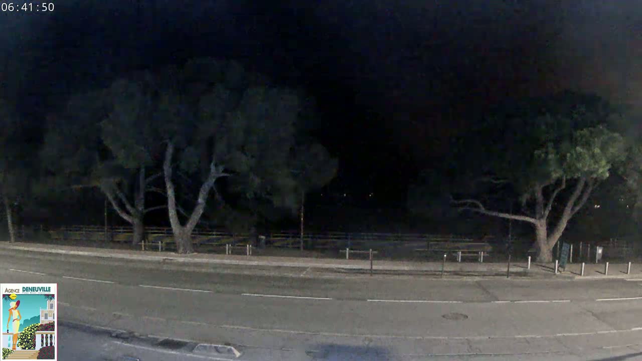 A dark nighttime scene shows a road next to a fenced-in area with trees and park benches.