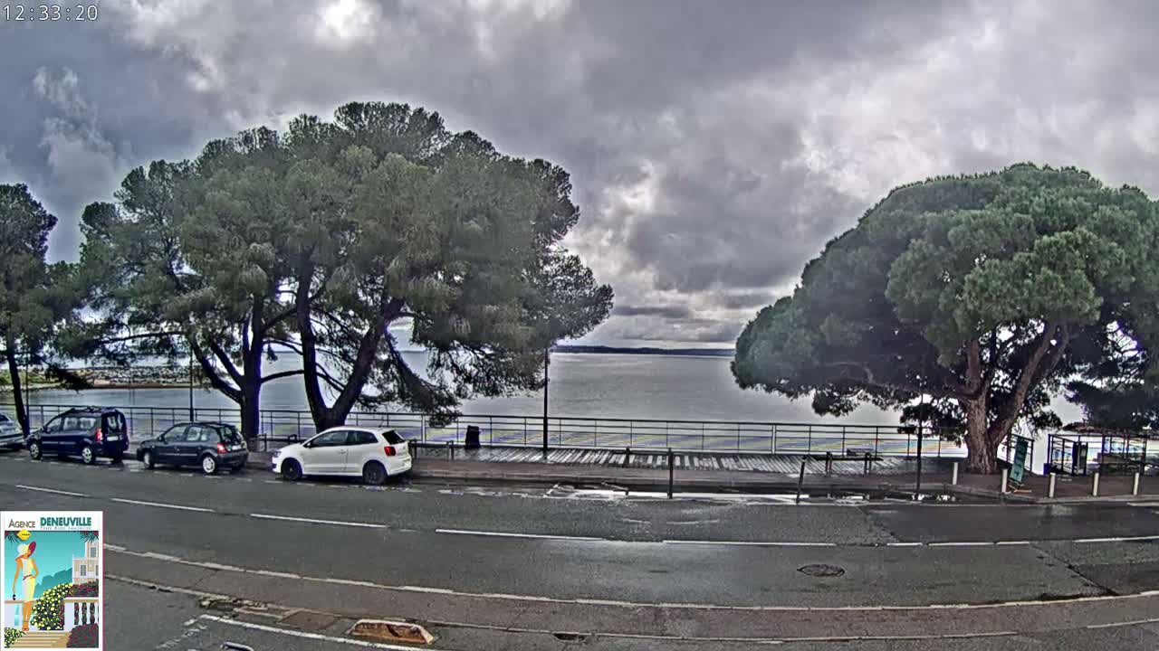 Several cars are parked along a road next to a calm body of water, under a cloudy sky, with large pine trees shading the roadside.
