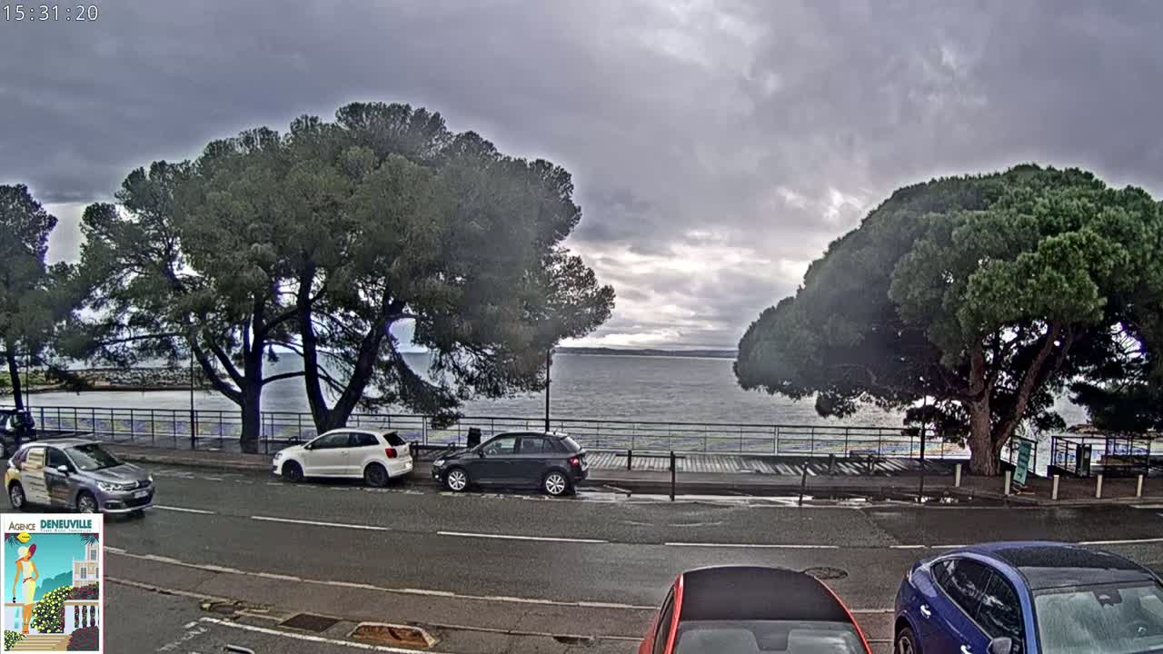 Several cars are parked along a road that overlooks a calm body of water under an overcast sky, with large trees shading the roadside.