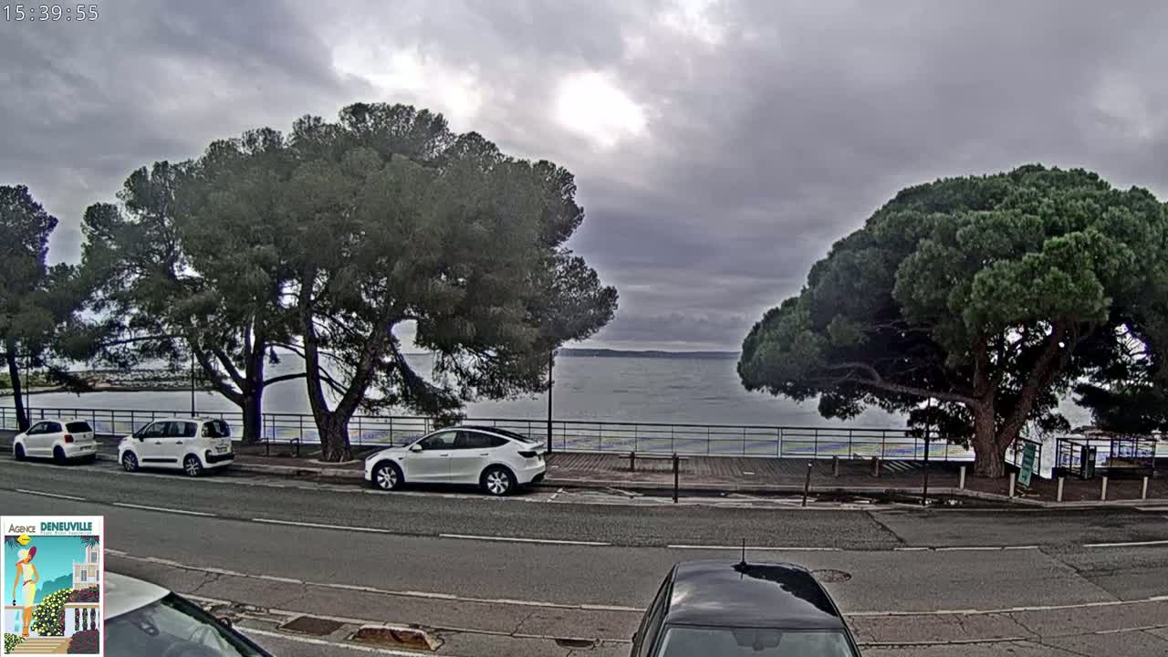 Several cars are parked along a road next to a body of water under an overcast sky, with large pine trees shading the roadside.
