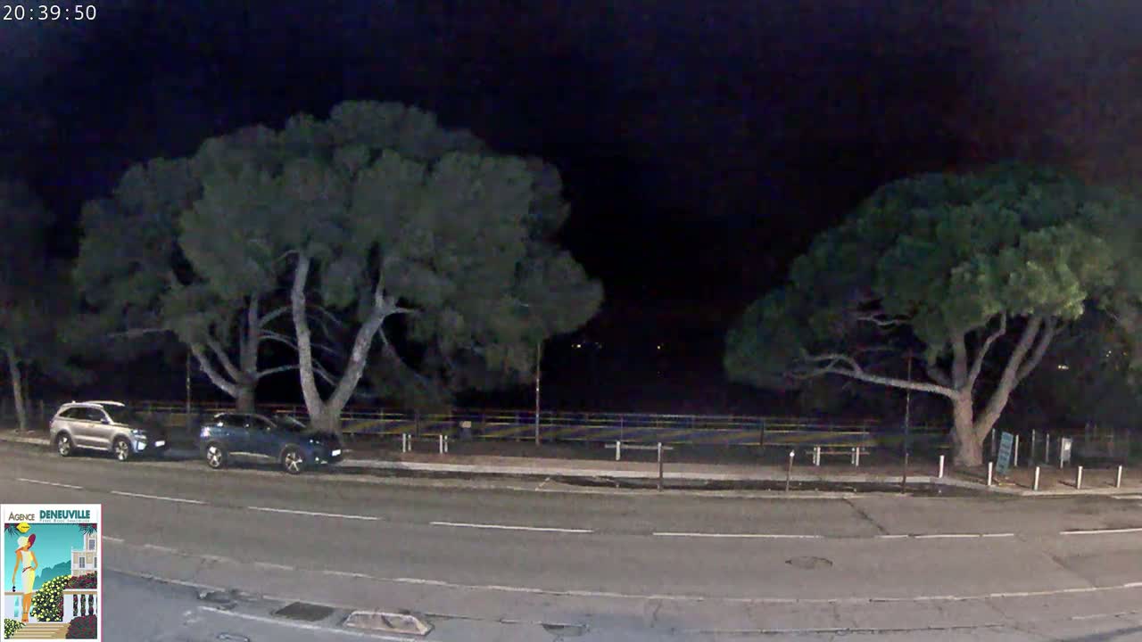 At night, two dark-colored SUVs are parked alongside a road under two large, dark green trees near a fence.