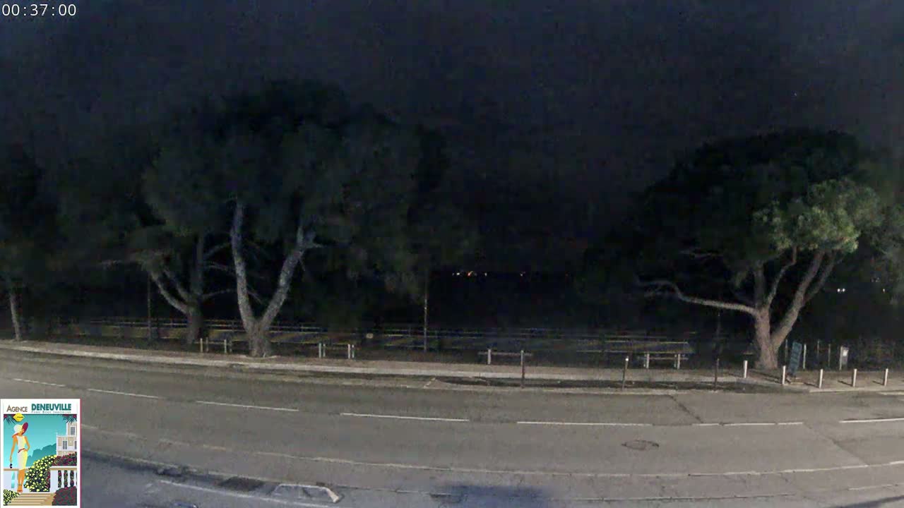 A nighttime view of a dark road flanked by trees and an empty park area under a cloudy sky.