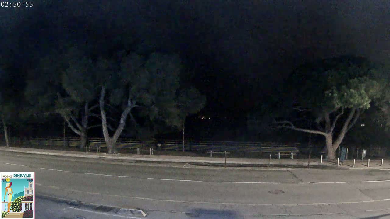 A dark night scene shows a road beside a park with several trees under a nearly cloudless sky.