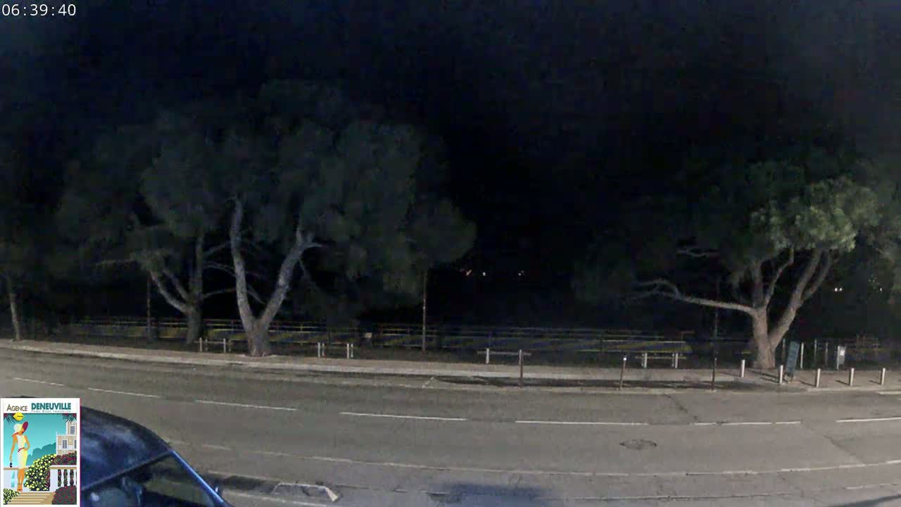A nighttime, low-light view of a road bordered by trees and a fence.