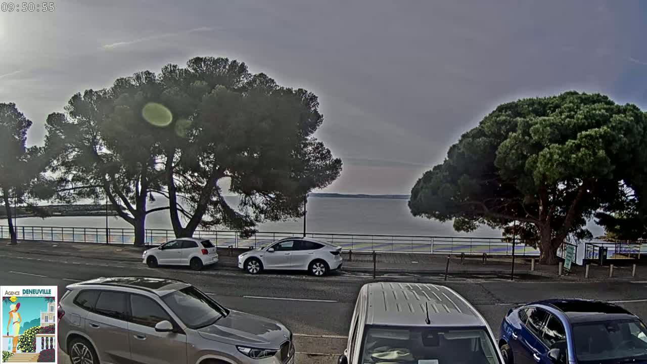 Several cars are parked along a road overlooking a calm body of water under an overcast sky, with large pine trees lining the roadside.