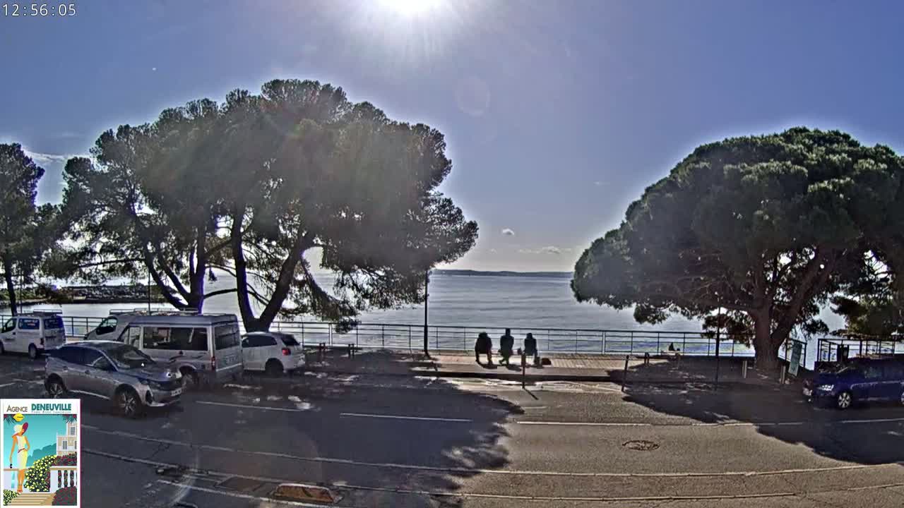 A sunny day shows a calm body of water, viewed from a roadside parking area with several cars parked under large pine trees, and three people sitting on a nearby bench.