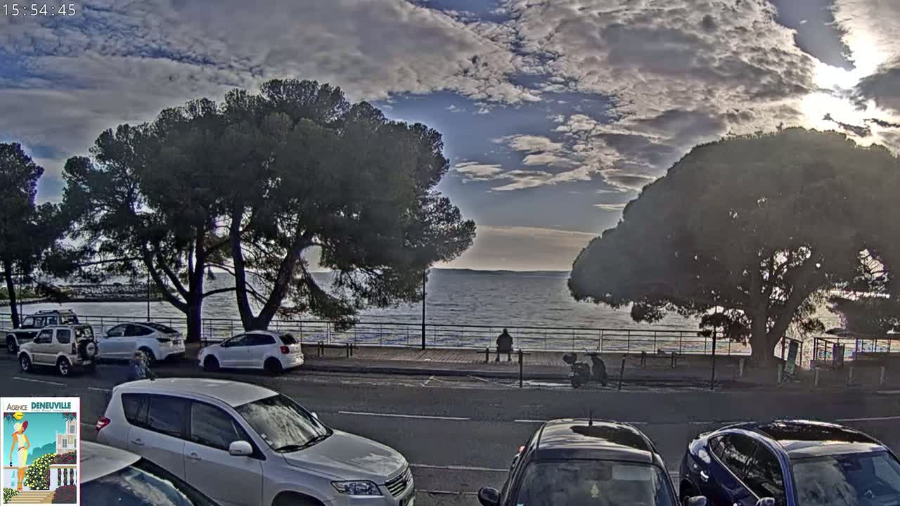 A partly cloudy sky overlooks a calm body of water, with several cars parked along a roadside lined with large pine trees.