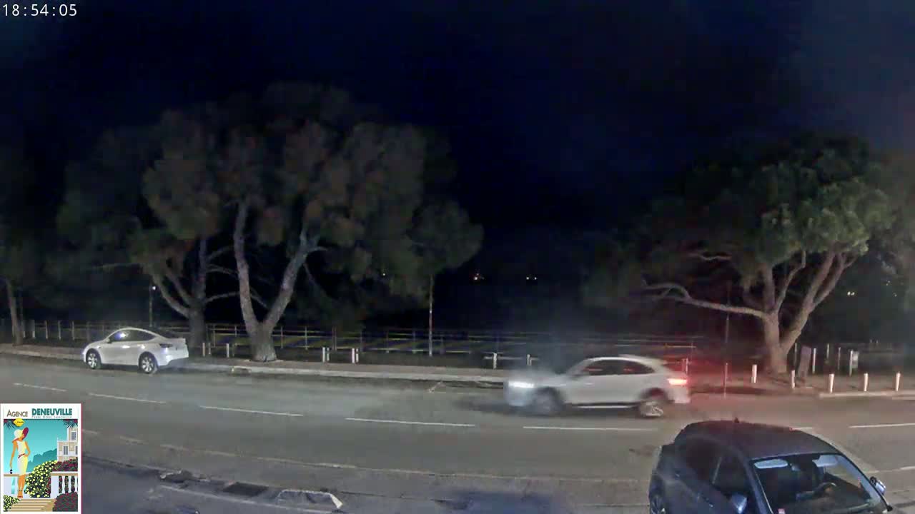 At night, under a dark sky, two white cars are parked on the side of a road lined with trees.
